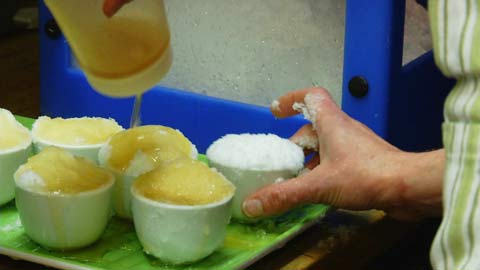 Douglas Fir Snow Cone Intermezzo