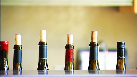 Other Fine Wines: Roussanne