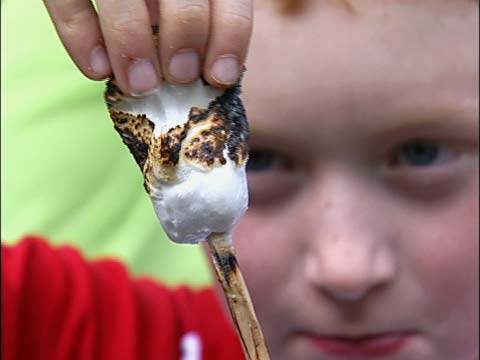 The Making of the Perfect S'more