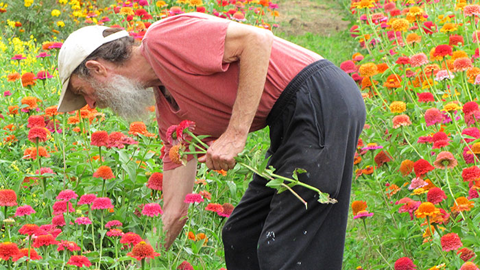 Alan Kapuler, Organic Seed Breeder, scientist