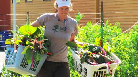 An Urban Farmer in the City (video)