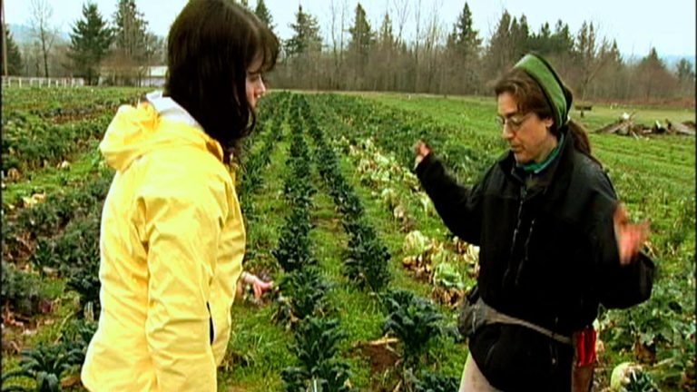 From the Farmer’s Field: Lacinato Kale - Cooking Up a Story