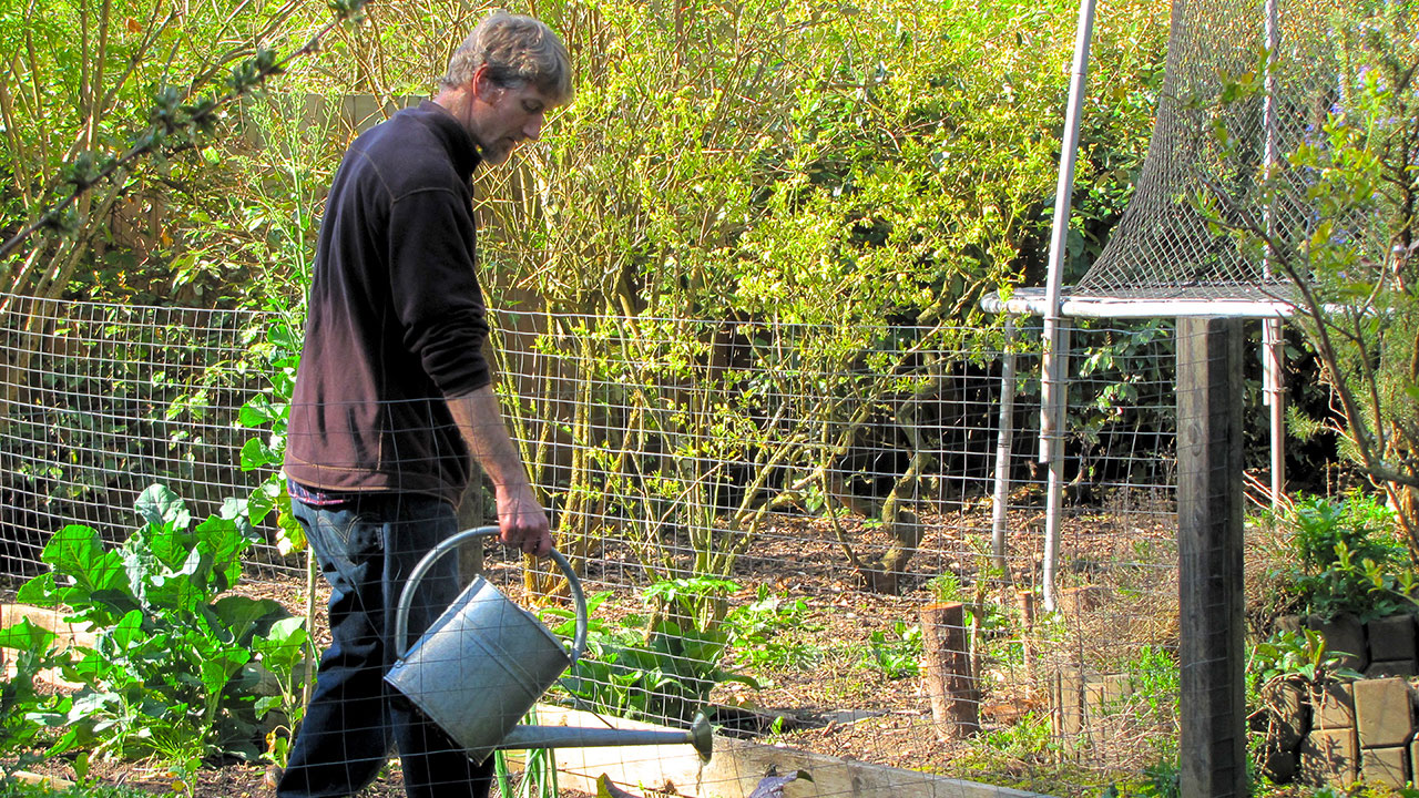 An Urban Homestead Tour with Justin Tiret