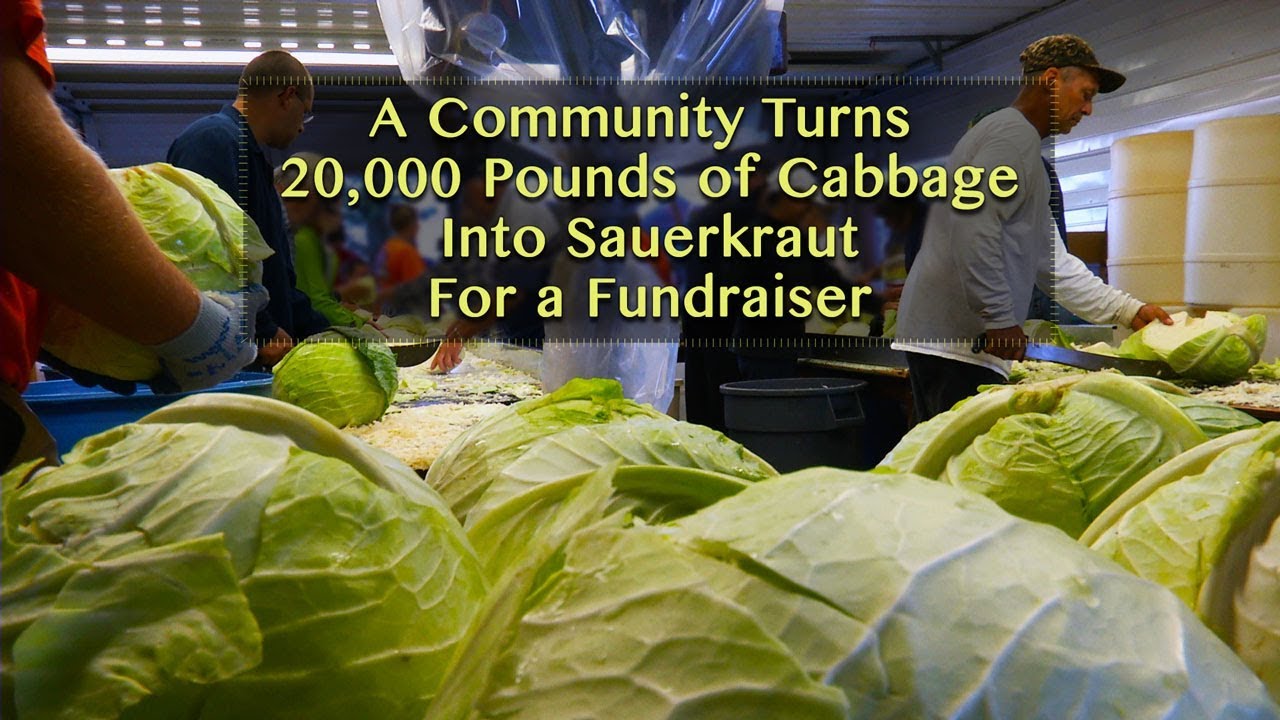 The Annual Verboort Sausage Dinner Event: Making Sauerkraut