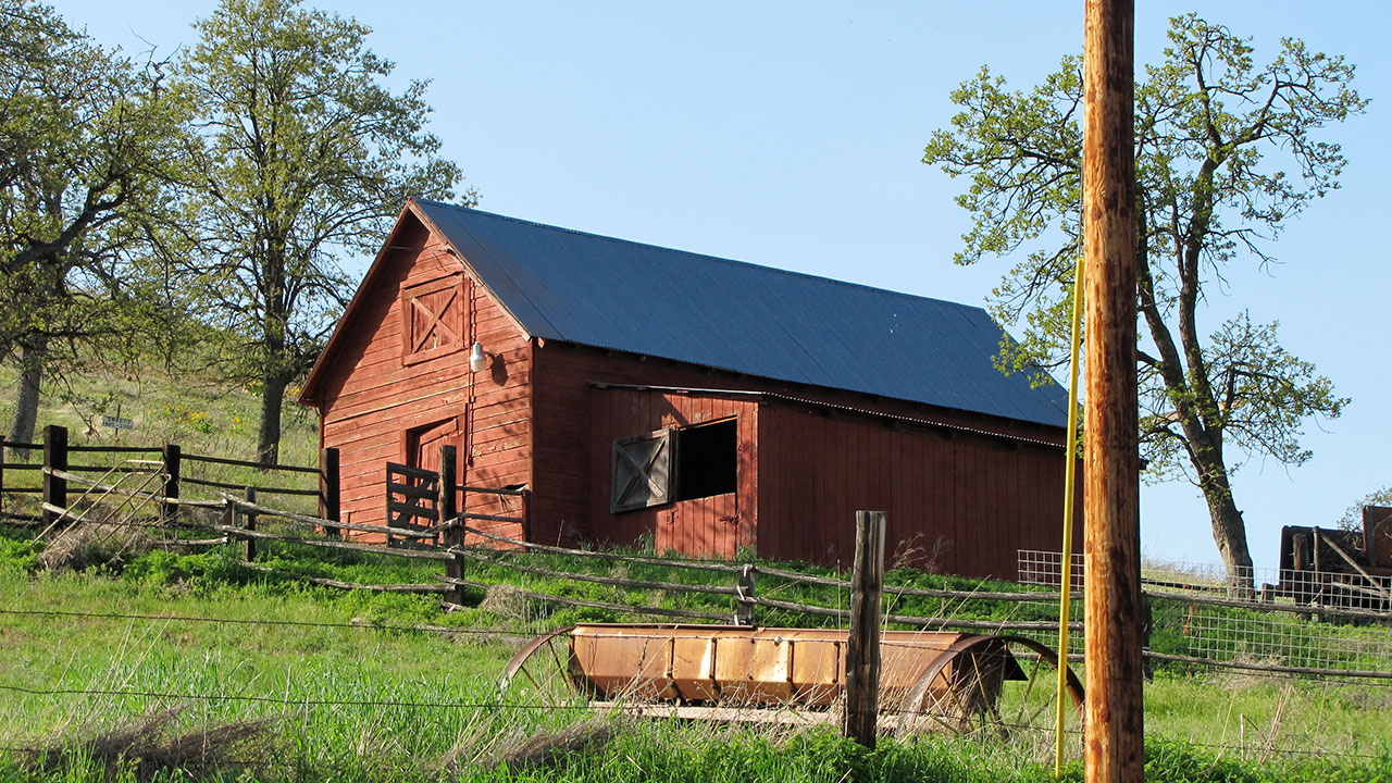Preserving Endangered Heritage Livestock: Bi-Weekly Newsletter - Cooking Up a Story Preserving Endangered Heritage Livestock: Bi-Weekly Newsletter - Cooking Up a Story