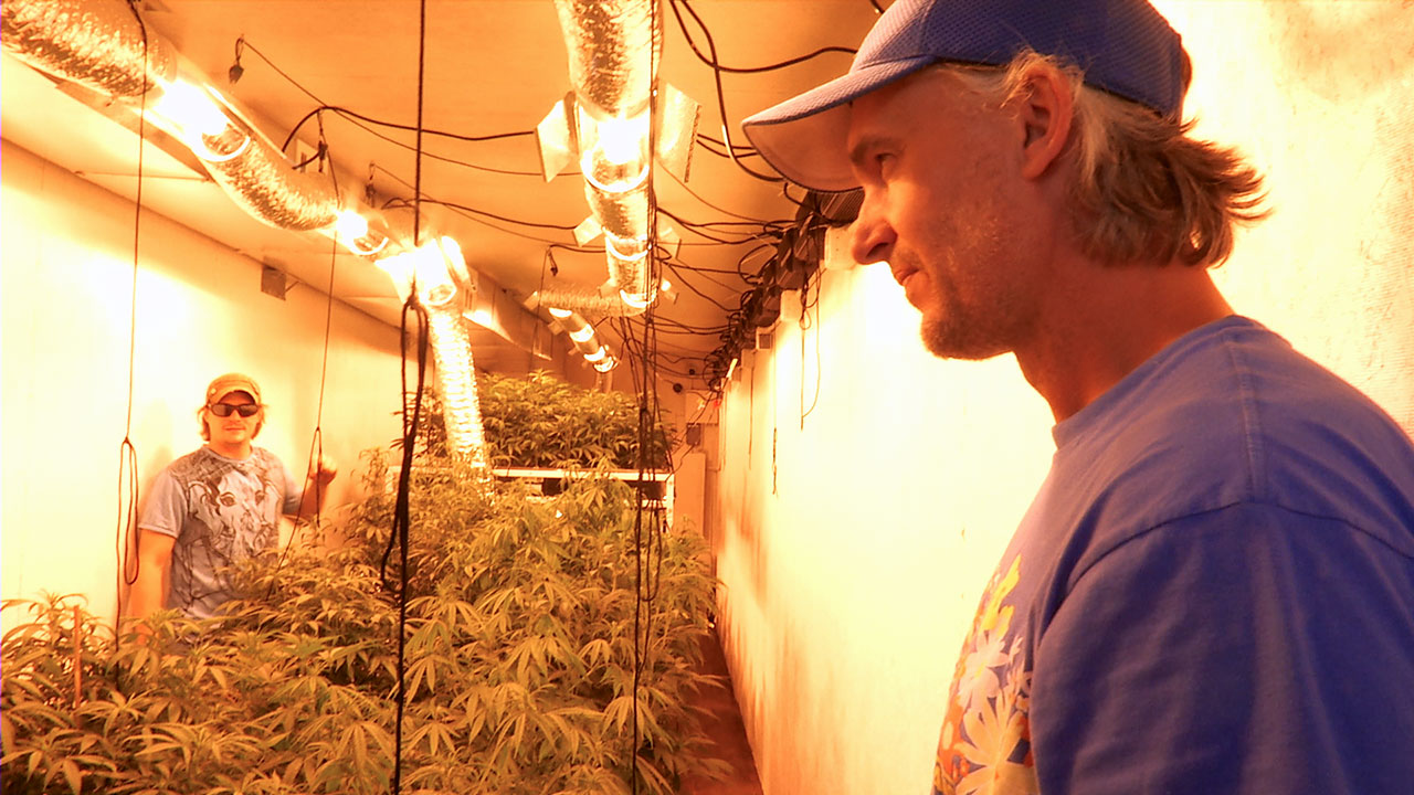 Starting a Recreational Marijuana Business: CannaMan Farms