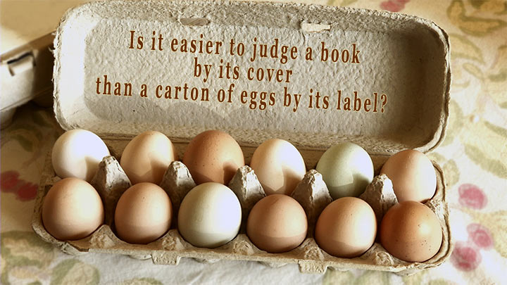Eggs 101- Carton of Mixed Chicken Eggs