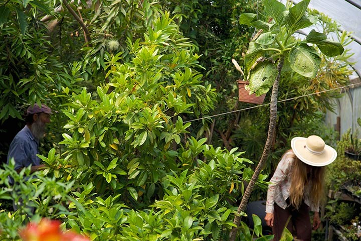 Alan and Linda Kapuler in their Kinship Garden Greenhouse
