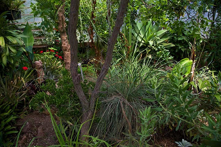 Kinship Garden Greenhouse -Biodiversity