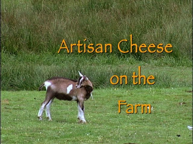 Artisan Cheese on the Farm (video)