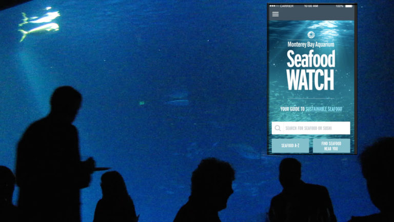 Chef Nathan Lyon and Monterey Bay Aquarium Seafood Watch Unite