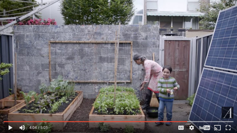 Living Off the Electrical Grid in Americas Capital - Cooking Up a Story
