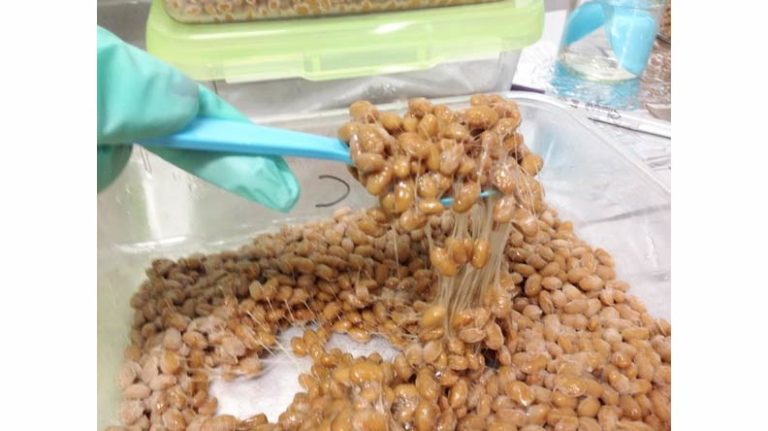 Natto - Fermented Soybean Condiment