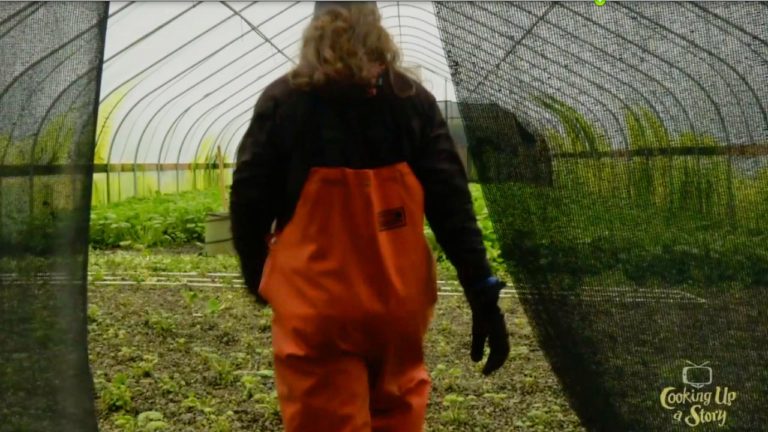 Rare Visit to a Wasabi Farm - mobile minute - Cooking Up a Story