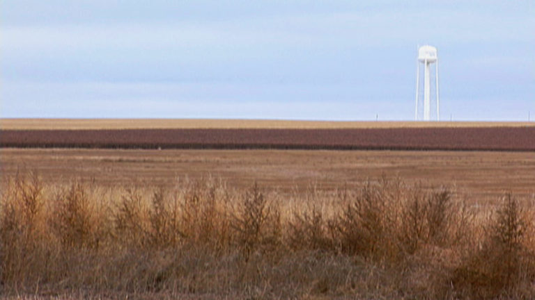 South Dakota Rancher Moves to No-Till- Reaps Reward - Cooking Up a Story
