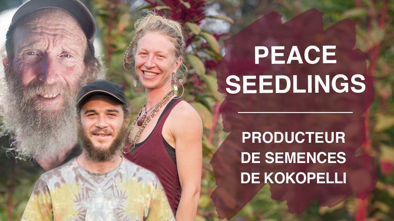 Peace Seedlings – A New Generation of Public Domain Organic Plant
Breeders