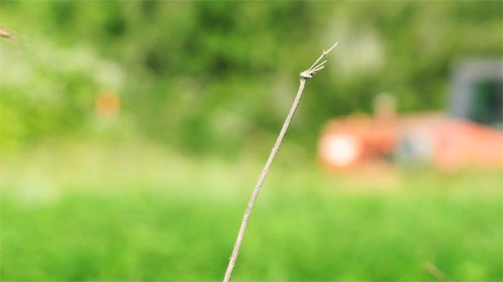 Climate Change Threatens Global Food Supply - Cooking Up a Story