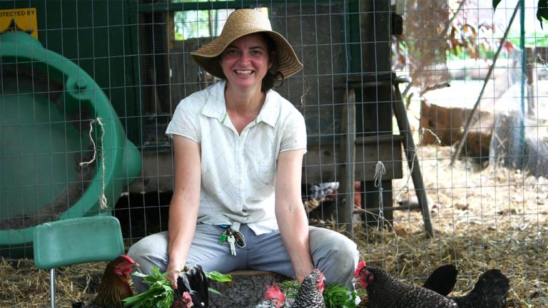 The Unconventional Harvest: An Urban Oasis for Food - Nathan Winters