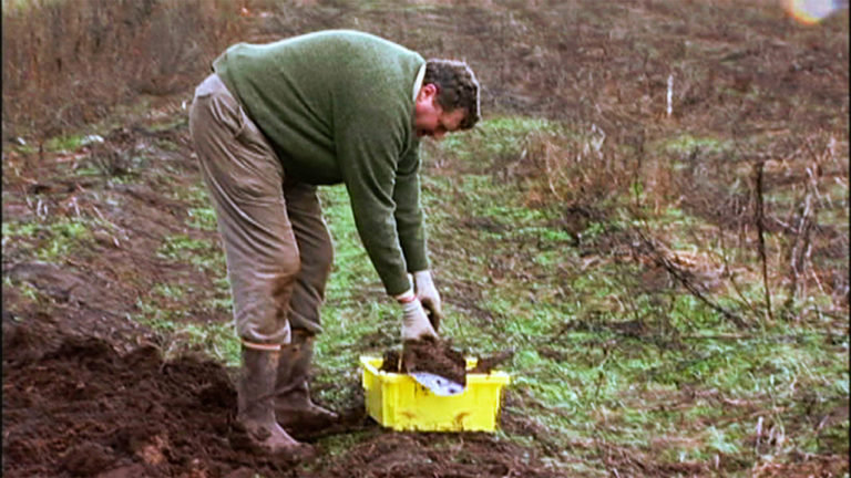 A Good Food Farmer - Cooking Up a Story